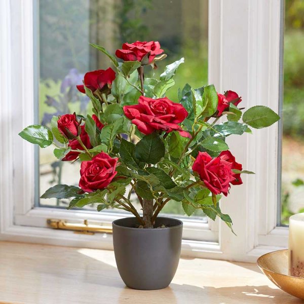 Regent'S Roses Ruby Red 40Cm