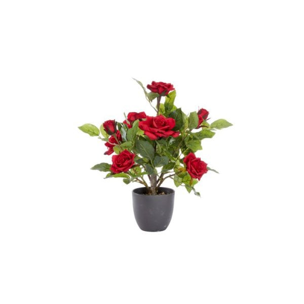 Regent'S Roses Ruby Red 40Cm