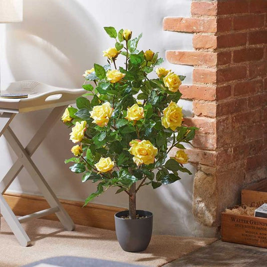 Regent'S Roses Sunshine Yellow 80Cm