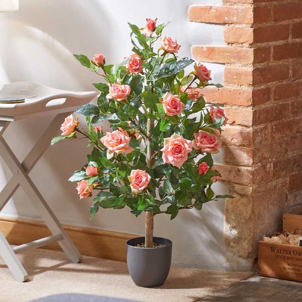 Regent'S Roses Perfect Pink 80Cm – Azure Garden Centre