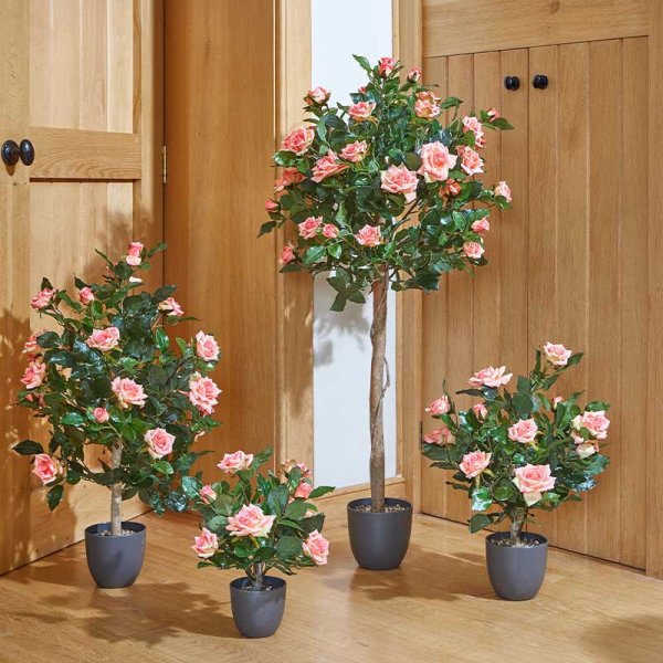 Regent'S Roses Perfect Pink 80Cm