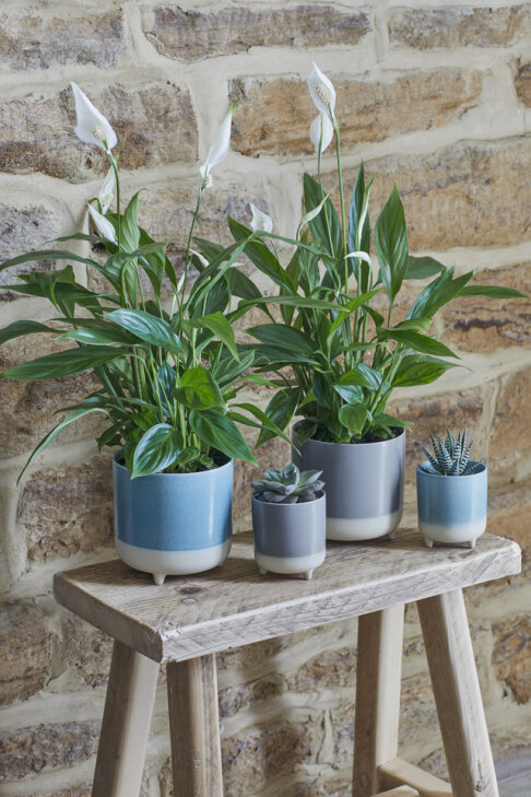 Jolie Aqua Reactive 3 Leg Planter