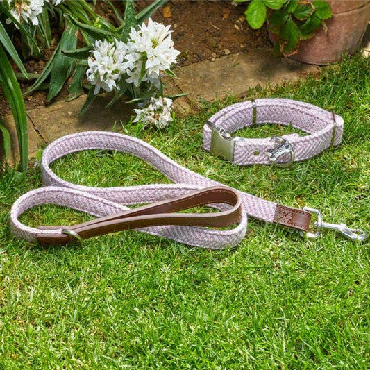 Country Dog Lead Blush S