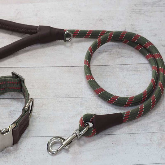 Primo Dog Lead Olive 120X1.2Cm