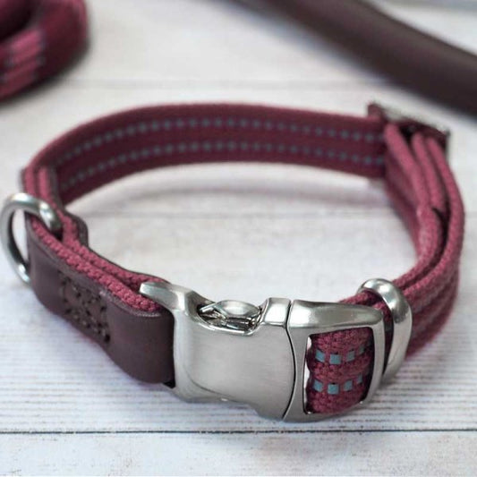 Primo Dog Collar Burgundy Xs