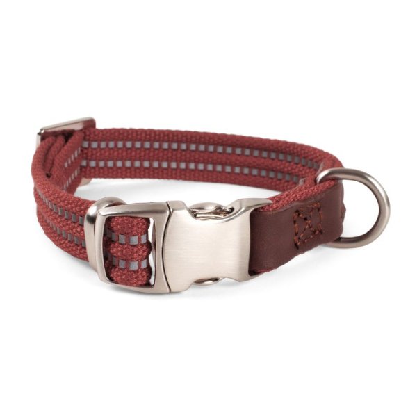 Primo Dog Collar Burgundy Xs