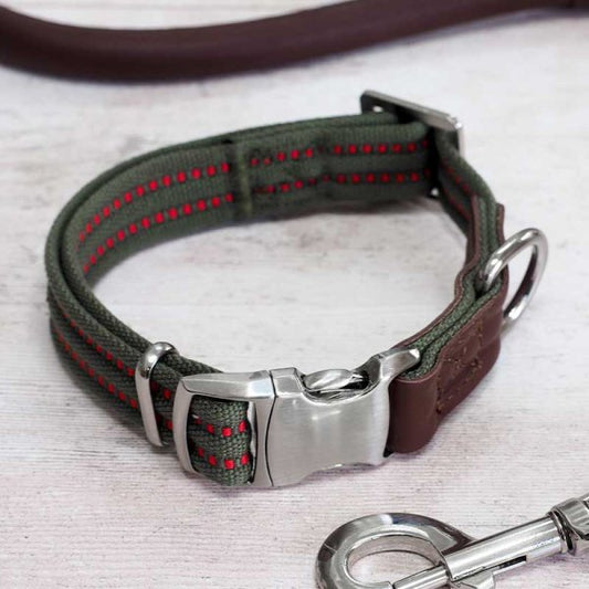 Primo Dog Collar Olive M