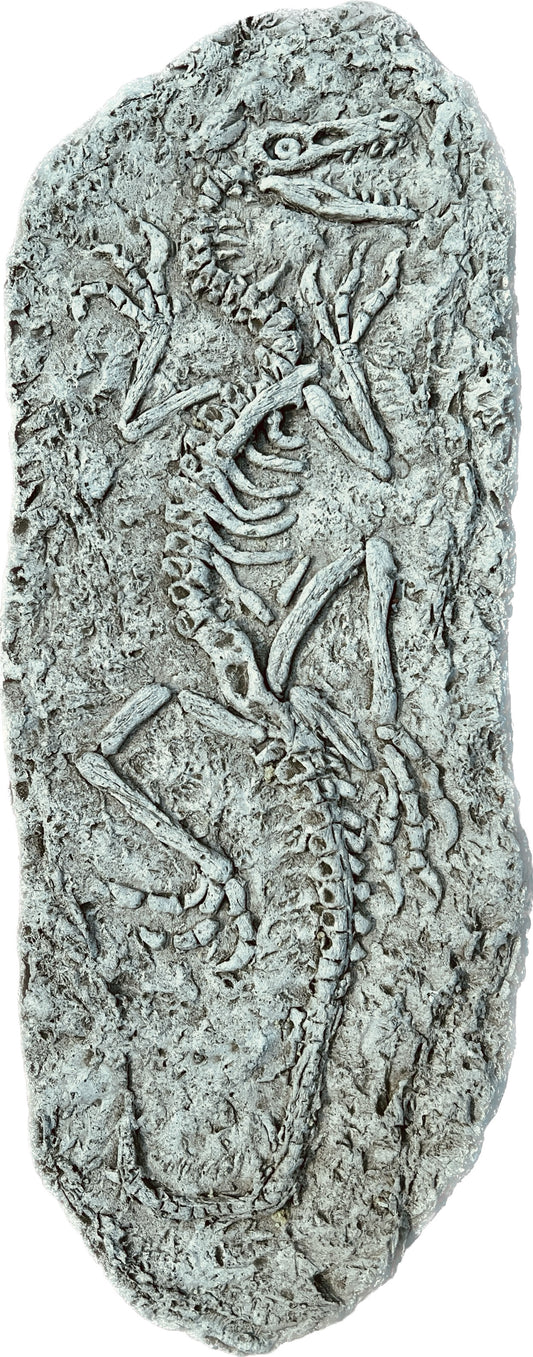 Jurassic Plaque - Stone