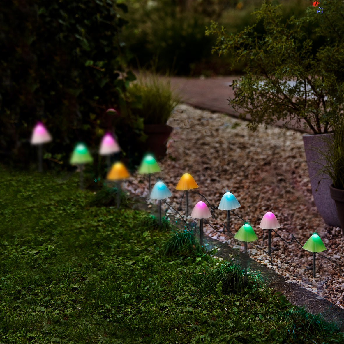 Led Twinkle Mushroom Multi  3.8M