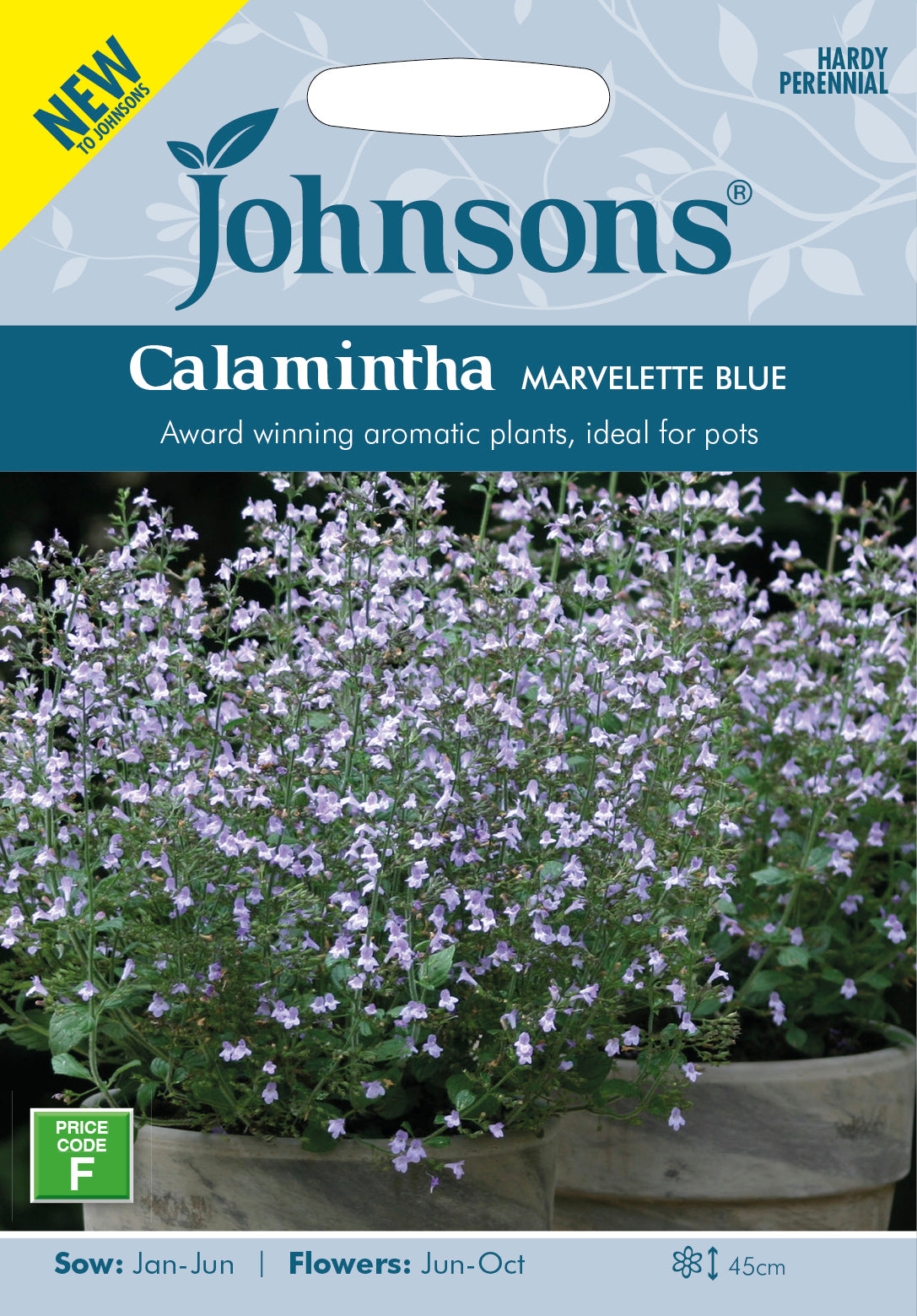 CALAMINTHA nepeta Marvelette Blue