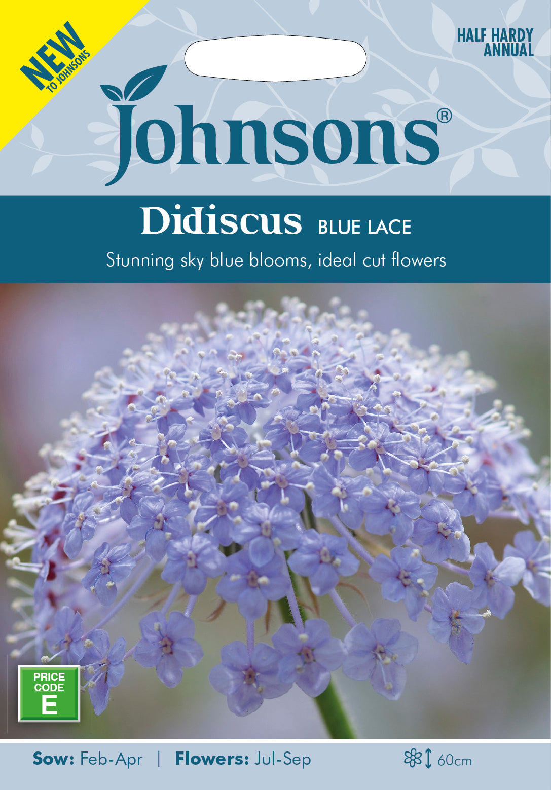 DIDISCUS Blue Lace