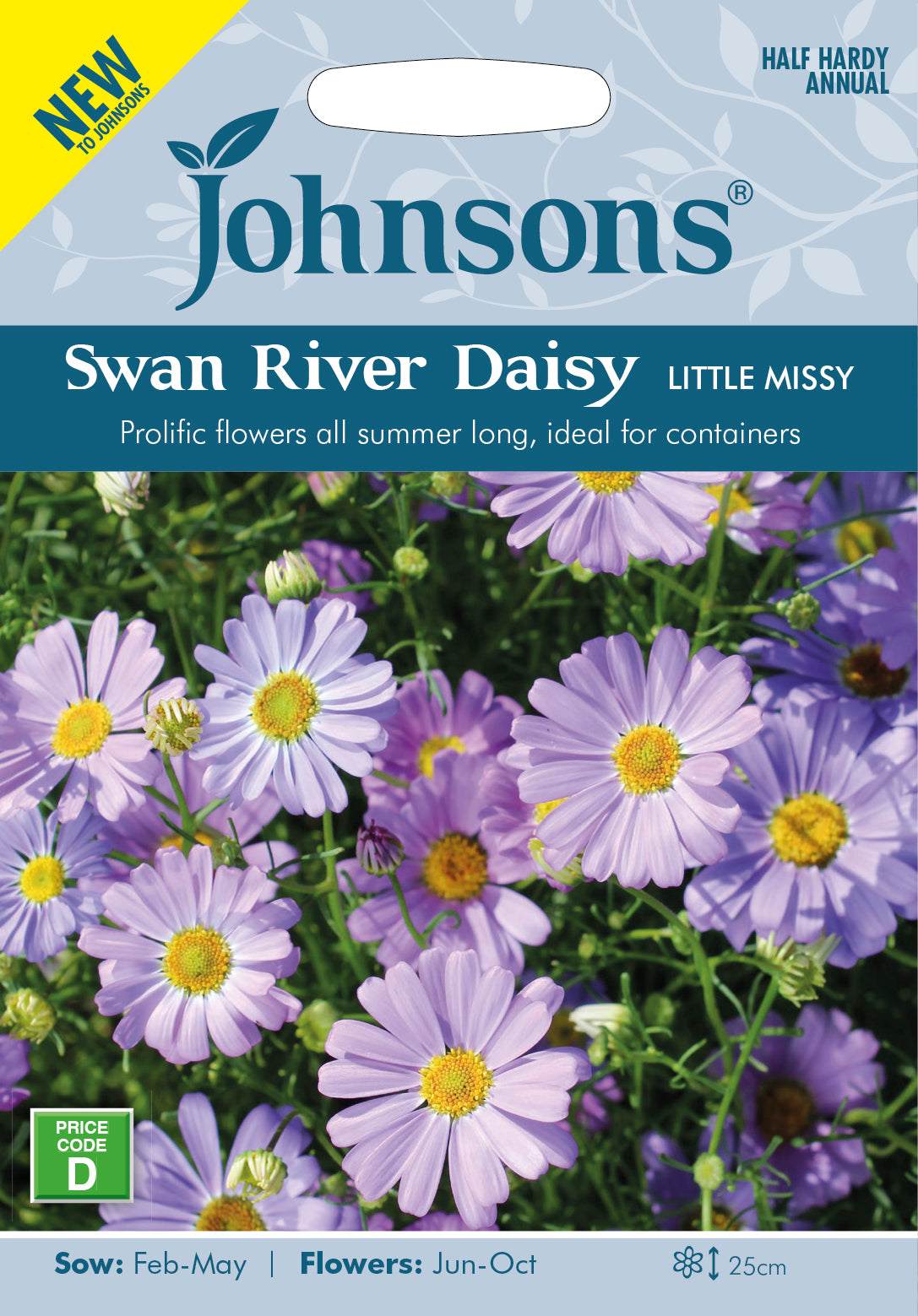 SWAN RIVER DAISY Little Missy