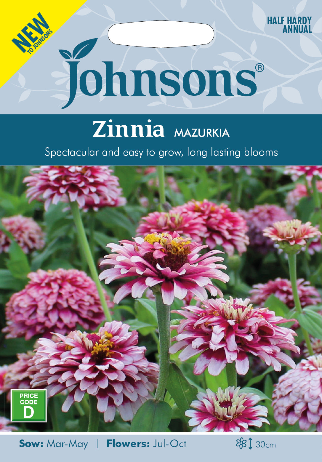 ZINNIA Mazurkia