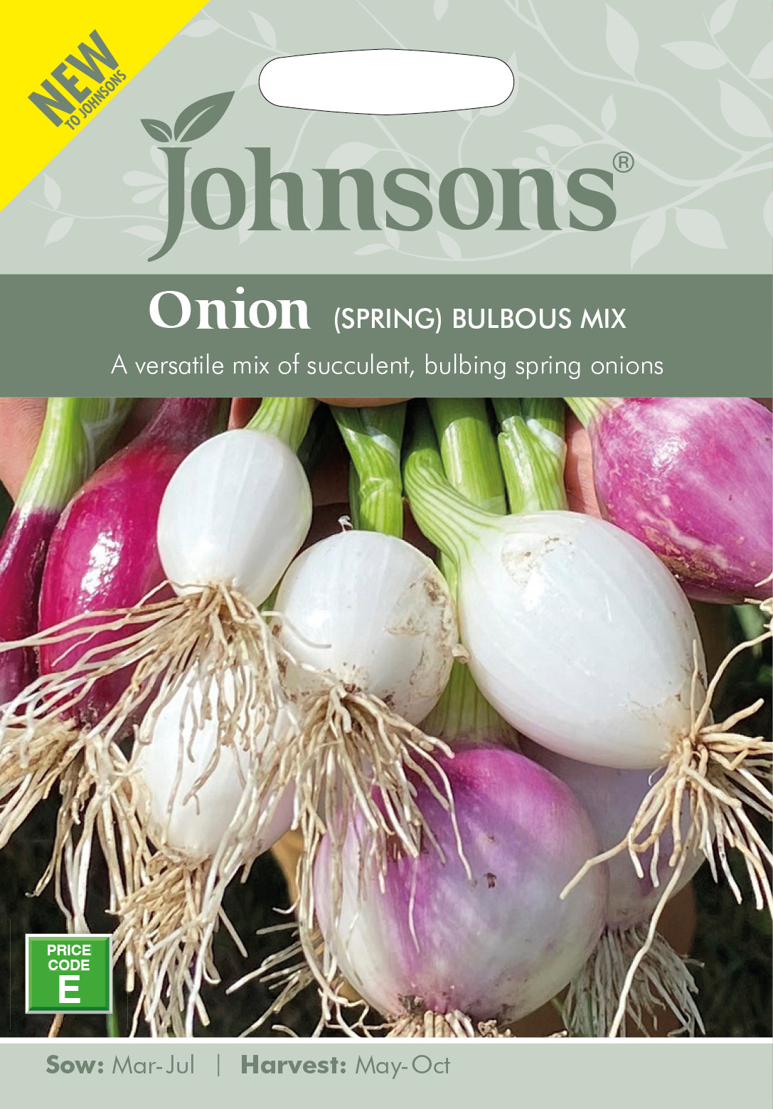 ONION (Spring) Bulbous Mix