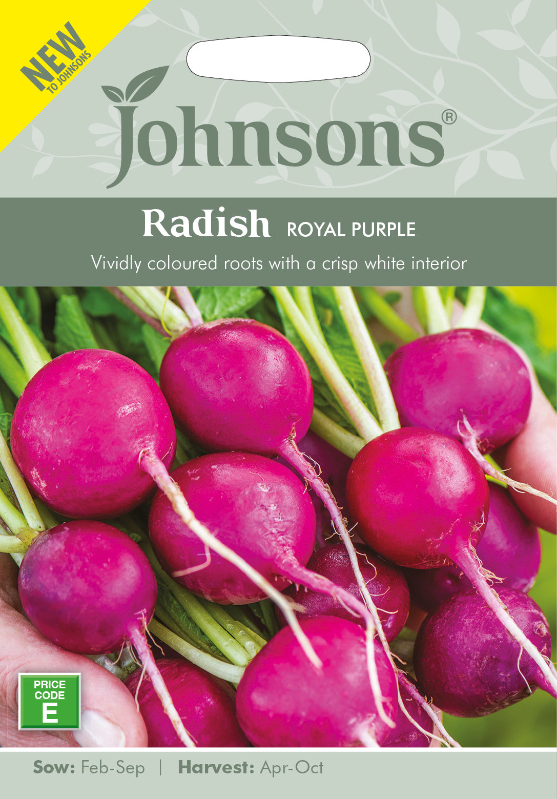 RADISH Royal Purple