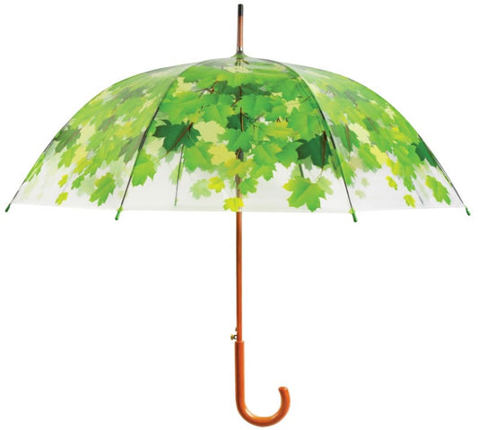 Umbrella Tree