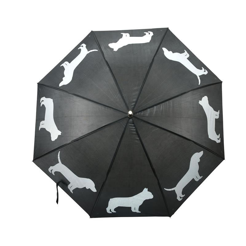 Umbrella Reflecting Dogs