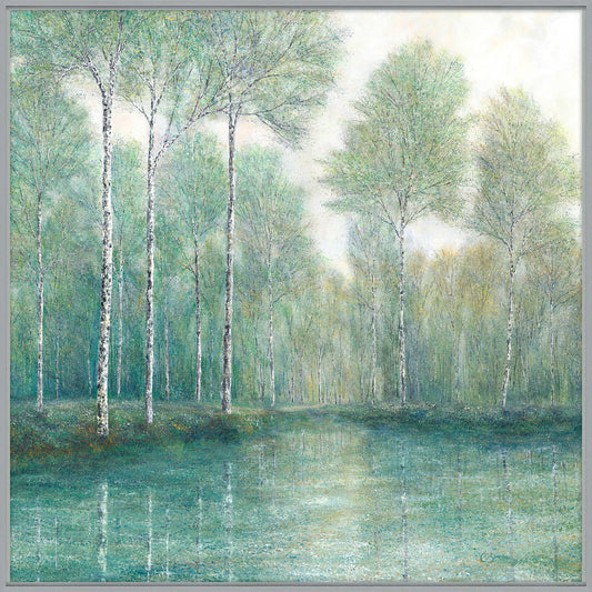 Peaceful Reflection