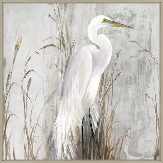 White Egret