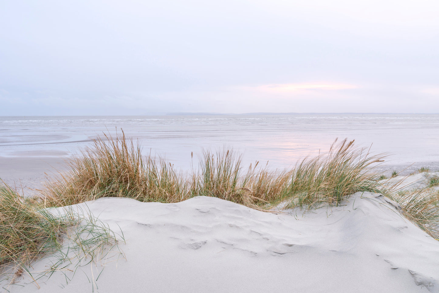 Among The Dunes