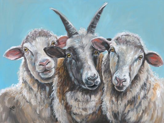 What Are Ewe Looking At
