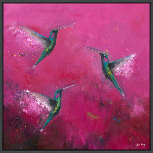 The Joy of Hummingbirds