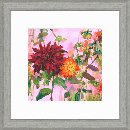 Dusky Dahlia's Small