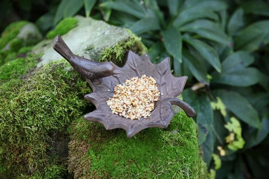 Cast Iron Bird Bath Small