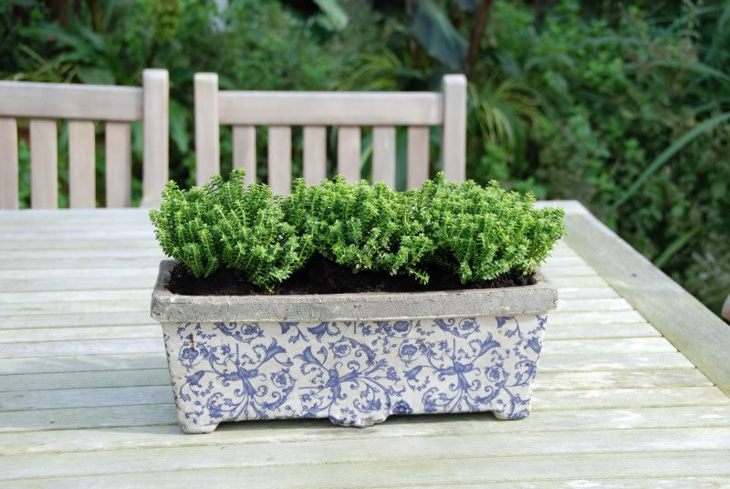 Ceramic Rectangular Planter