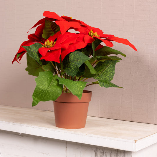 Poinsettia Plant Christmas Red 27Cm