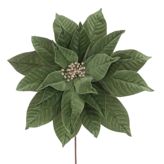 Poinsettia Stem Velvet Sage 45Cm