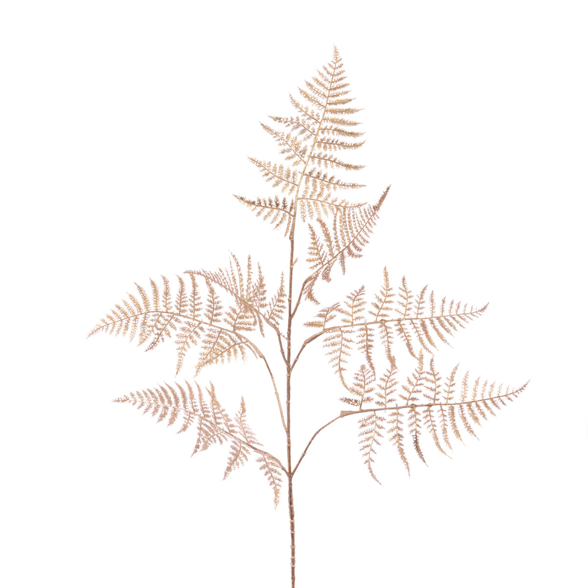 Metallic Gold Asparagus Spray 86Cm