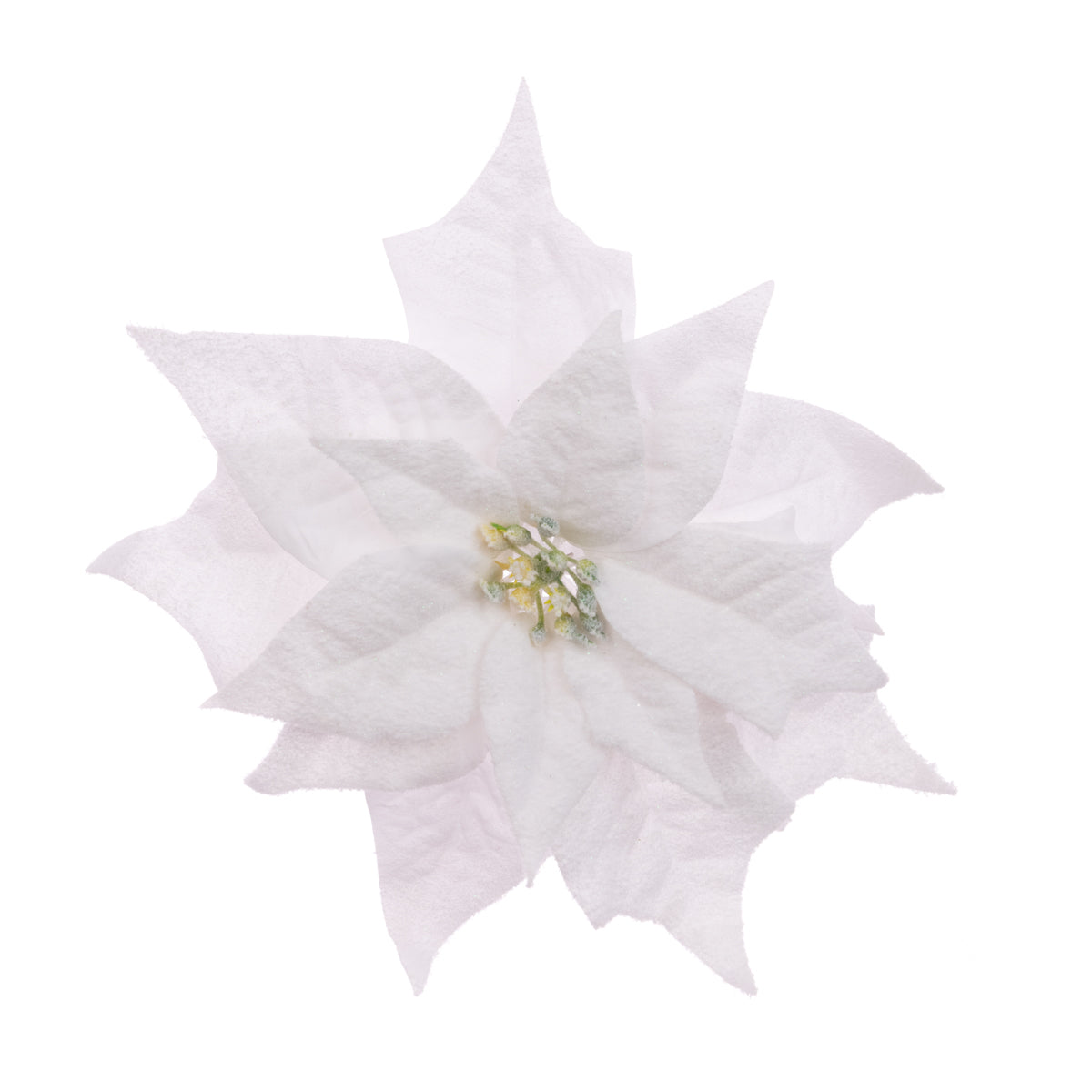 Poinsettia Clip White 25Cm