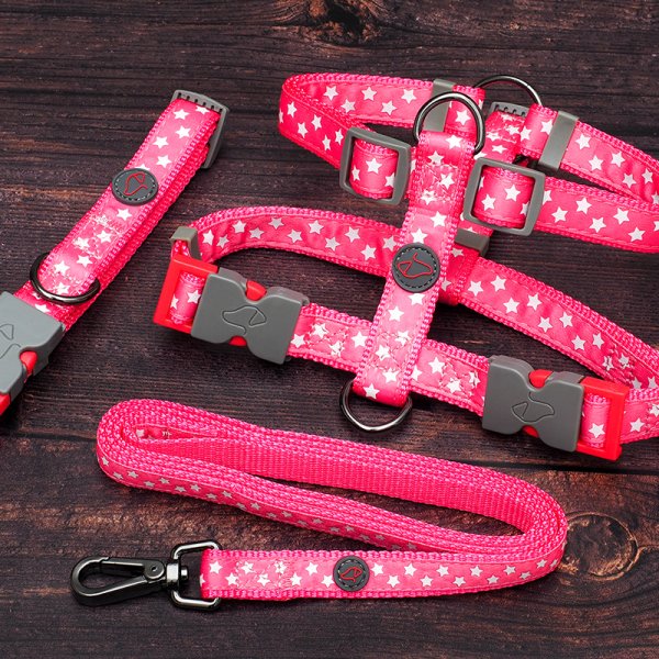 Starry Pink Walkabout Dog Lead Std