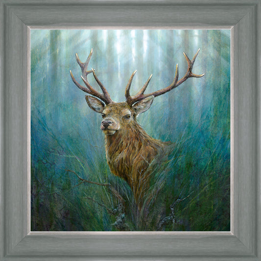 Red Deer Stag
