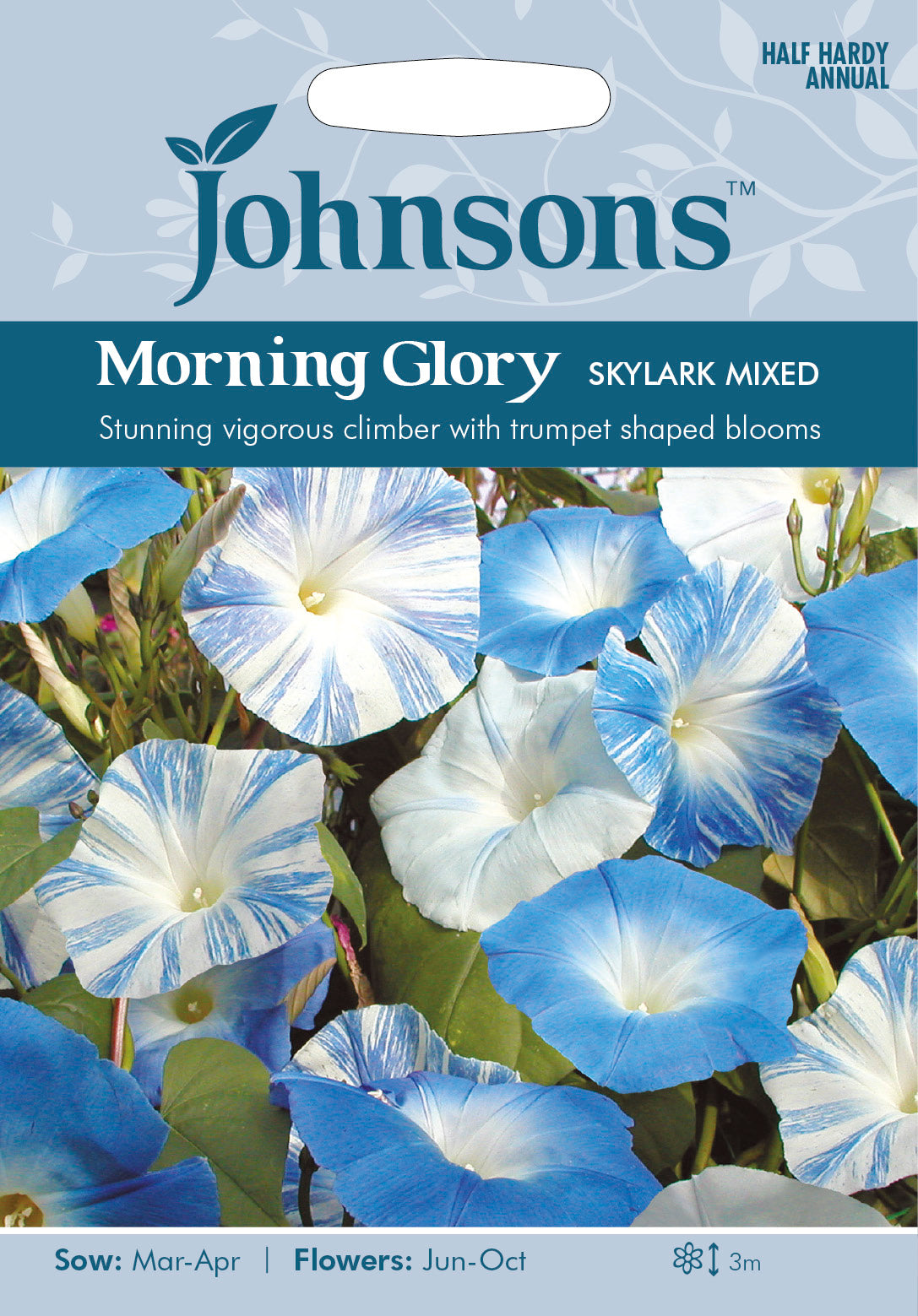 MORNING GLORY Skylark Mixed