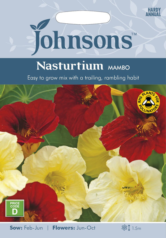 NASTURTIUM Mambo